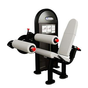 Nautilus Instinct Dual Leg Extension and Leg Curl