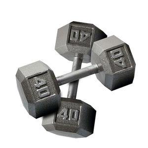 Cast Iron Hex Dumbbells 1-100 lbs. (SDX)