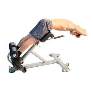 Lumbar X Bench