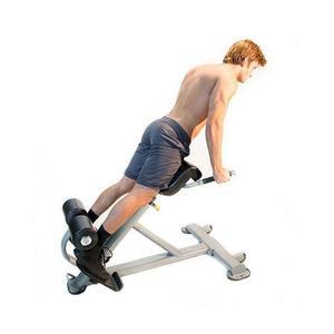 Lumbar X Bench