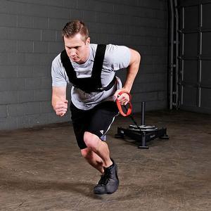 Sled Harness