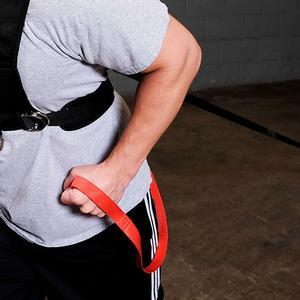 Sled Harness