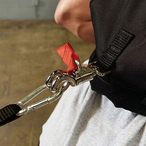 Sled Harness