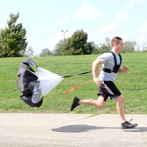 Sled Harness