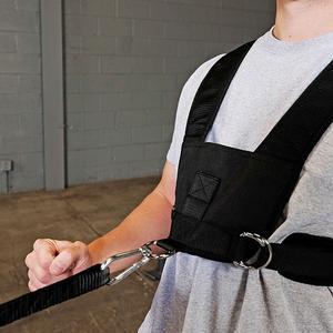 Sled Harness