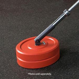 Pivot Plate Landmine Attachment