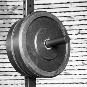 Rugged Plate Horn
